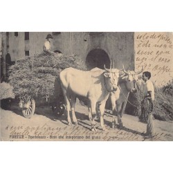 Rare collectable postcards of Italy. Vintage Postcards of Italy