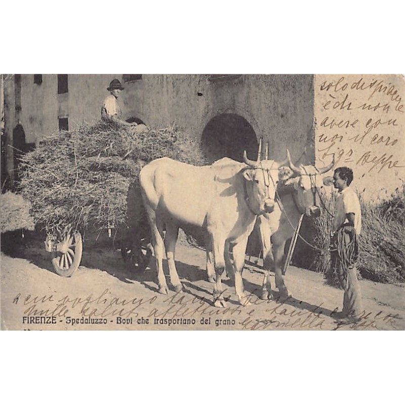 Rare collectable postcards of Italy. Vintage Postcards of Italy