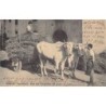 Rare collectable postcards of Italy. Vintage Postcards of Italy