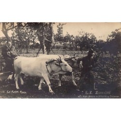 Rare collectable postcards of Italy. Vintage Postcards of Italy