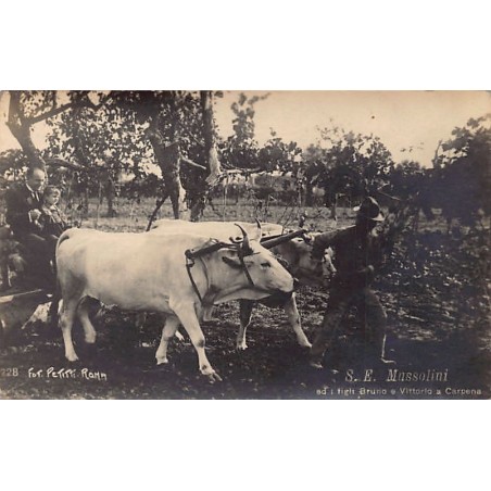 Rare collectable postcards of Italy. Vintage Postcards of Italy