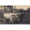 Rare collectable postcards of Italy. Vintage Postcards of Italy