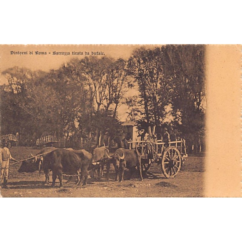 Rare collectable postcards of Italy. Vintage Postcards of Italy