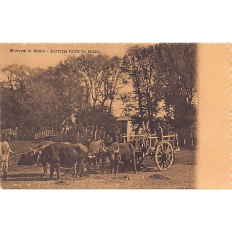 Rare collectable postcards of Italy. Vintage Postcards of Italy