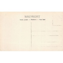 Rare collectable postcards of Norway. Vintage Postcards of Norway