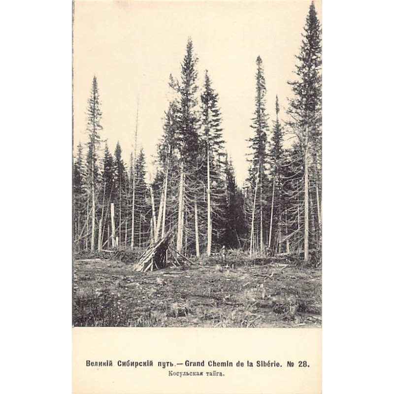 Rare collectable postcards of Russia. Vintage Postcards of Russia