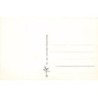 Rare collectable postcards of Sweden. Vintage Postcards of Sweden