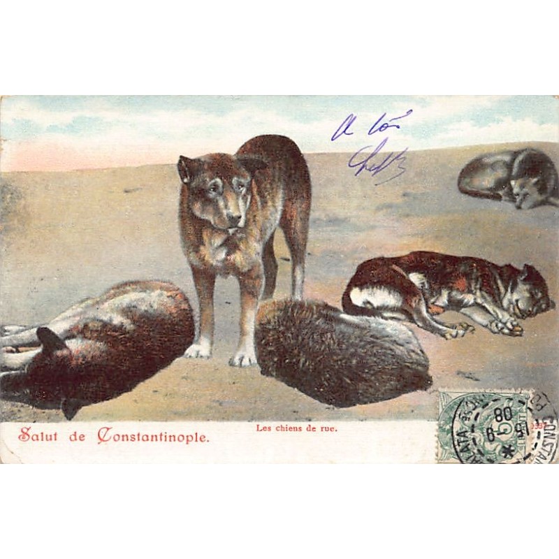 Rare collectable postcards of Turkey. Vintage Postcards of Turkey