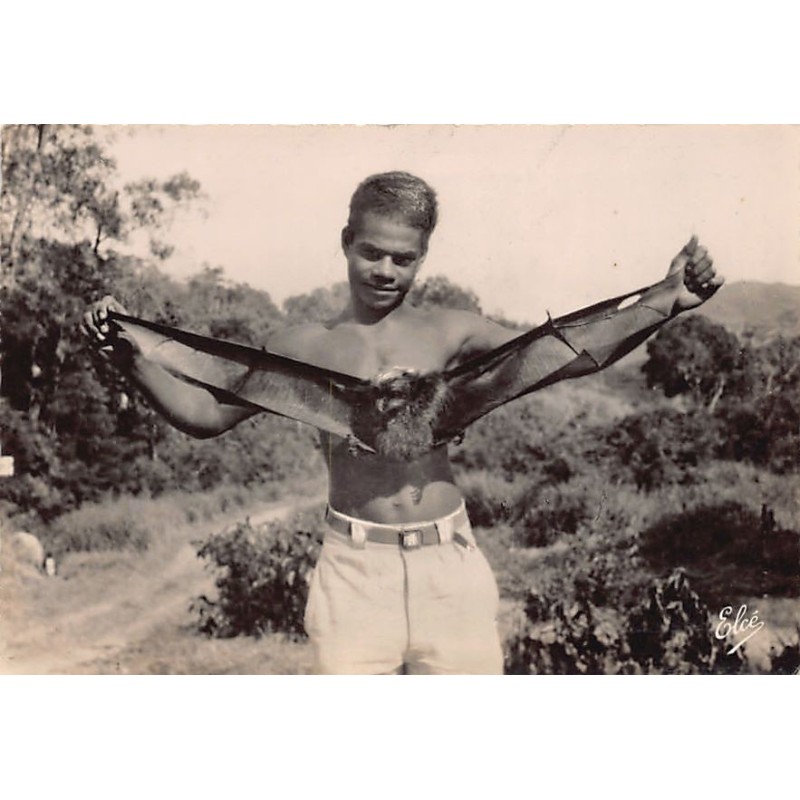 Rare collectable postcards of New Caledonia. Vintage Postcards of New Caledonia