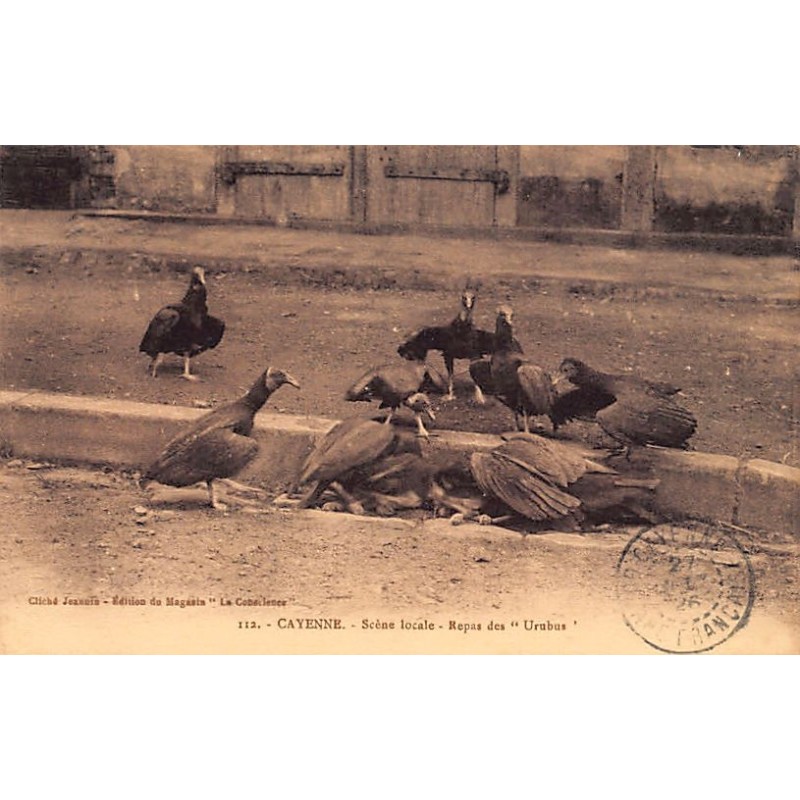 Rare collectable postcards of French Guiana. Vintage Postcards of French Guiana