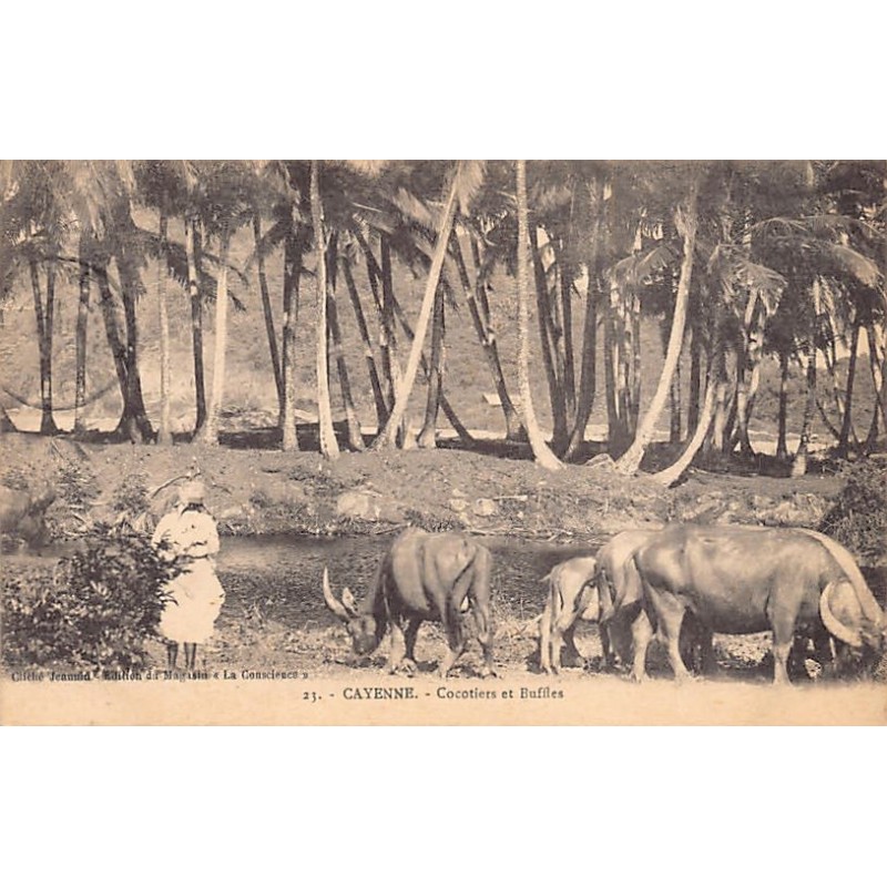 Rare collectable postcards of French Guiana. Vintage Postcards of French Guiana