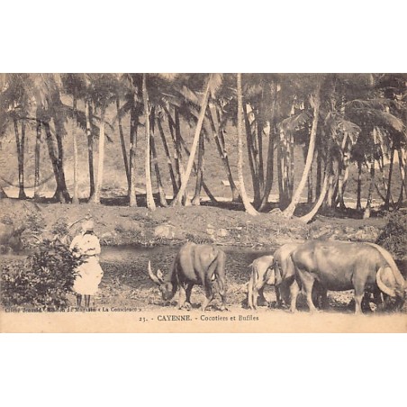 Rare collectable postcards of French Guiana. Vintage Postcards of French Guiana