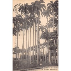 Rare collectable postcards of French Guiana. Vintage Postcards of French Guiana