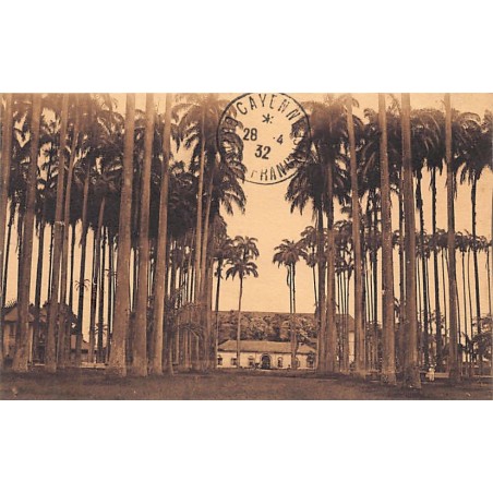 Rare collectable postcards of French Guiana. Vintage Postcards of French Guiana