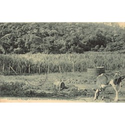 Rare collectable postcards of French Guiana. Vintage Postcards of French Guiana