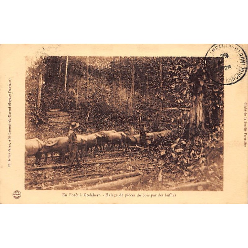 Rare collectable postcards of French Guiana. Vintage Postcards of French Guiana