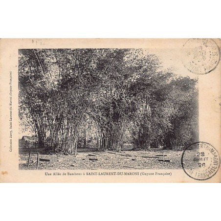 Rare collectable postcards of French Guiana. Vintage Postcards of French Guiana