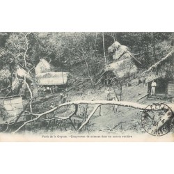 Rare collectable postcards of French Guiana. Vintage Postcards of French Guiana