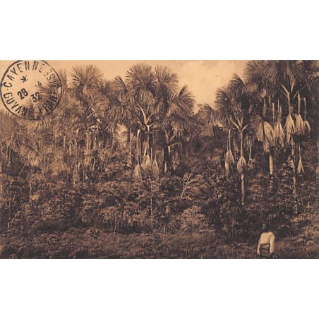 Rare collectable postcards of French Guiana. Vintage Postcards of French Guiana