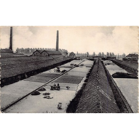 Rare collectable postcards of Belgium. Vintage Postcards of Belgium