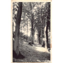 Rare collectable postcards of Belgium. Vintage Postcards of Belgium