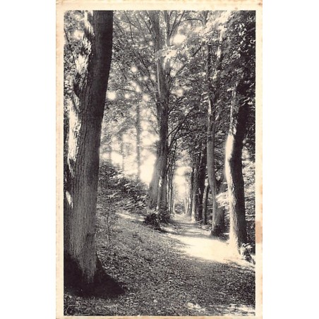 Rare collectable postcards of Belgium. Vintage Postcards of Belgium