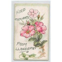 Rare collectable postcards of United Kingdom - Wales. Vintage Postcards of United Kingdom - Wales