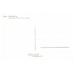 Rare collectable postcards of Switzerland. Vintage Postcards of Switzerland