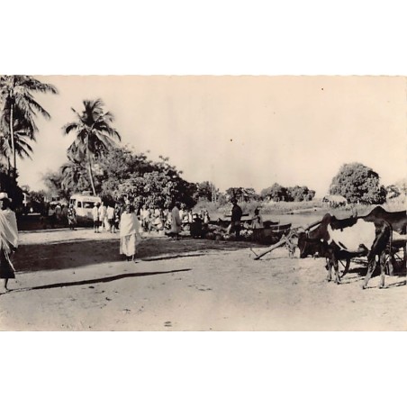 Rare collectable postcards of Madagascar. Vintage Postcards of Madagascar