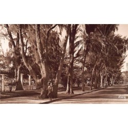 Rare collectable postcards of Madagascar. Vintage Postcards of Madagascar