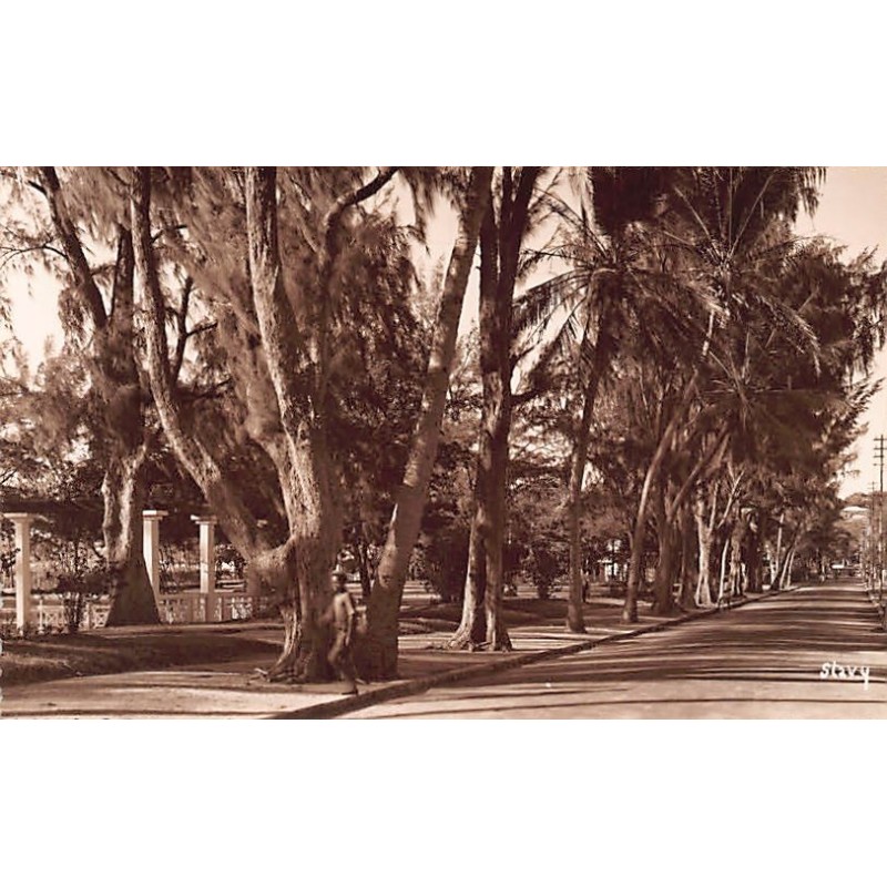 Rare collectable postcards of Madagascar. Vintage Postcards of Madagascar