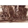 Rare collectable postcards of Madagascar. Vintage Postcards of Madagascar