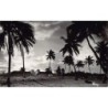 Rare collectable postcards of Madagascar. Vintage Postcards of Madagascar