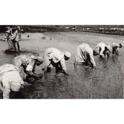 Rare collectable postcards of Madagascar. Vintage Postcards of Madagascar