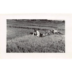 Rare collectable postcards of Madagascar. Vintage Postcards of Madagascar