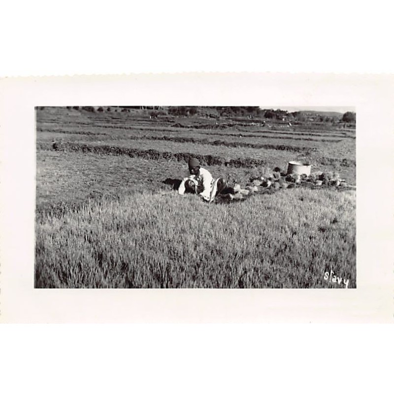 Rare collectable postcards of Madagascar. Vintage Postcards of Madagascar