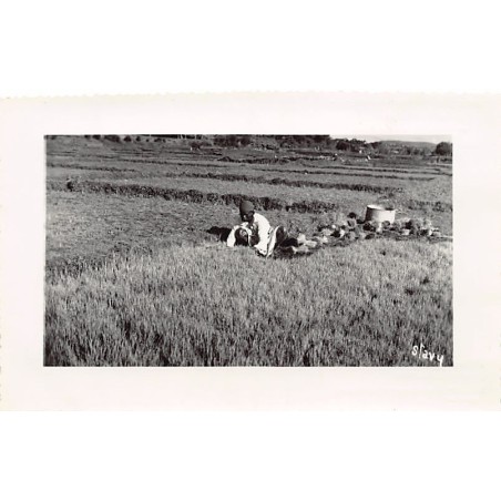 Rare collectable postcards of Madagascar. Vintage Postcards of Madagascar