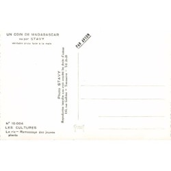 Rare collectable postcards of Madagascar. Vintage Postcards of Madagascar