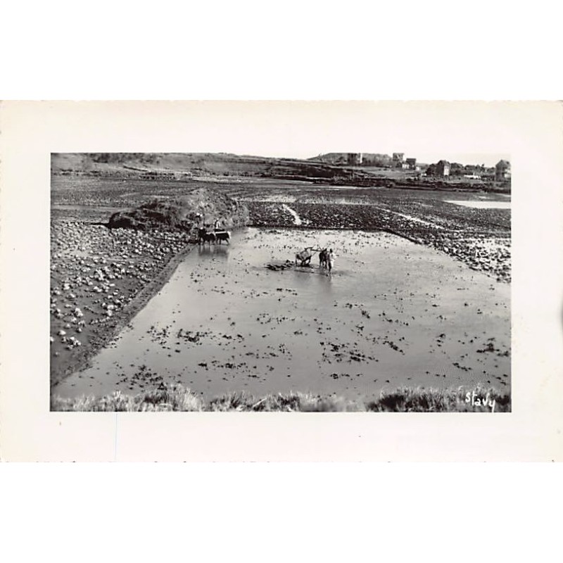 Rare collectable postcards of Madagascar. Vintage Postcards of Madagascar