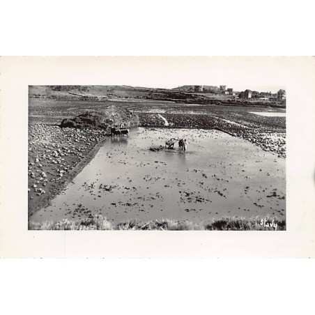 Rare collectable postcards of Madagascar. Vintage Postcards of Madagascar