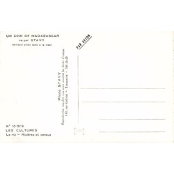 Rare collectable postcards of Madagascar. Vintage Postcards of Madagascar