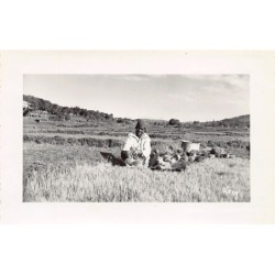 Rare collectable postcards of Madagascar. Vintage Postcards of Madagascar