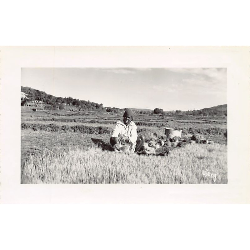 Rare collectable postcards of Madagascar. Vintage Postcards of Madagascar