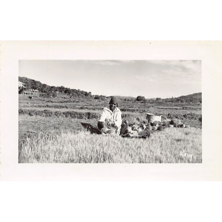 Rare collectable postcards of Madagascar. Vintage Postcards of Madagascar