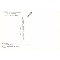 Rare collectable postcards of Madagascar. Vintage Postcards of Madagascar