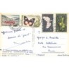 Rare collectable postcards of Madagascar. Vintage Postcards of Madagascar