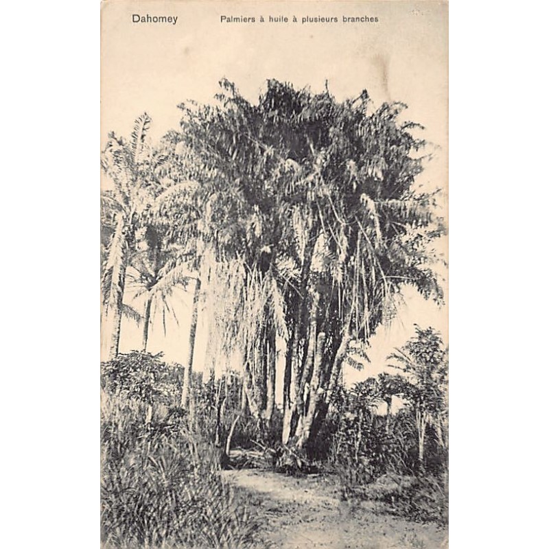 Rare collectable postcards of Benin (Dahomey). Vintage Postcards of Benin (Dahomey)