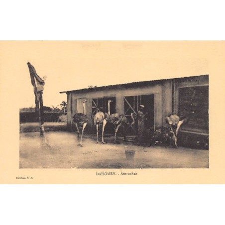 Rare collectable postcards of Benin (Dahomey). Vintage Postcards of Benin (Dahomey)