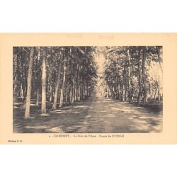 Rare collectable postcards of Benin (Dahomey). Vintage Postcards of Benin (Dahomey)