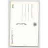Rare collectable postcards of Chad. Vintage Postcards of Chad